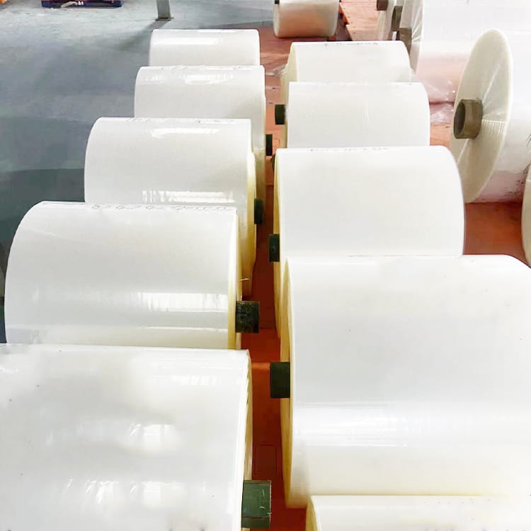Tubularis Transparens Packaging Film